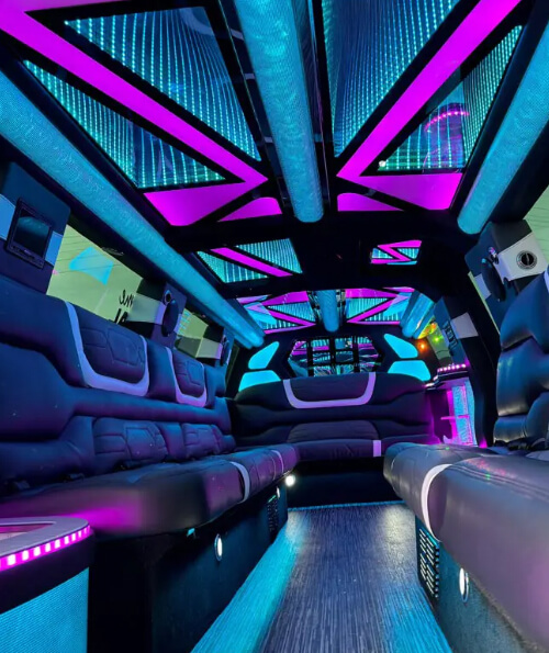 limo interior