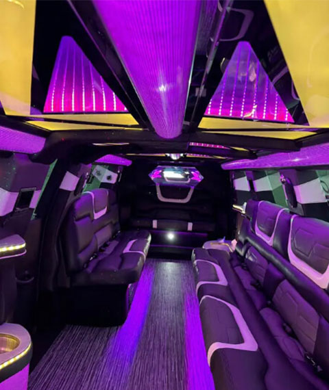 limo service model interior